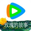 我的心爱之物一双鞋